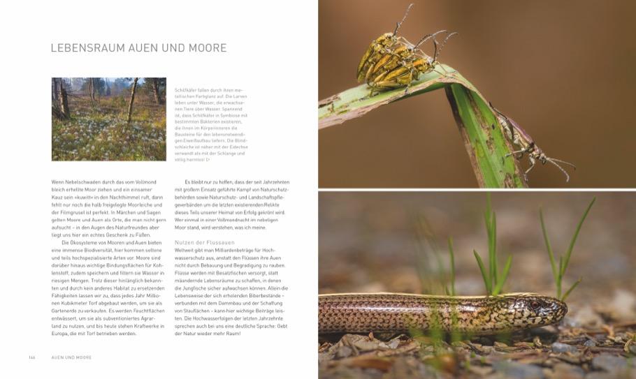 Beispielinhalt (Bild) Verborgene Wildnis Bayern