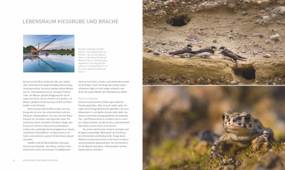 Beispielinhalt (Bild) Verborgene Wildnis Bayern