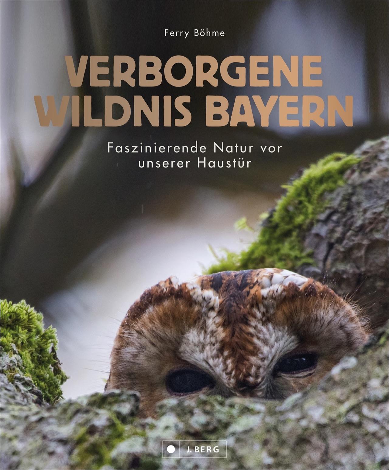 Vorderes Coverbild Verborgene Wildnis Bayern