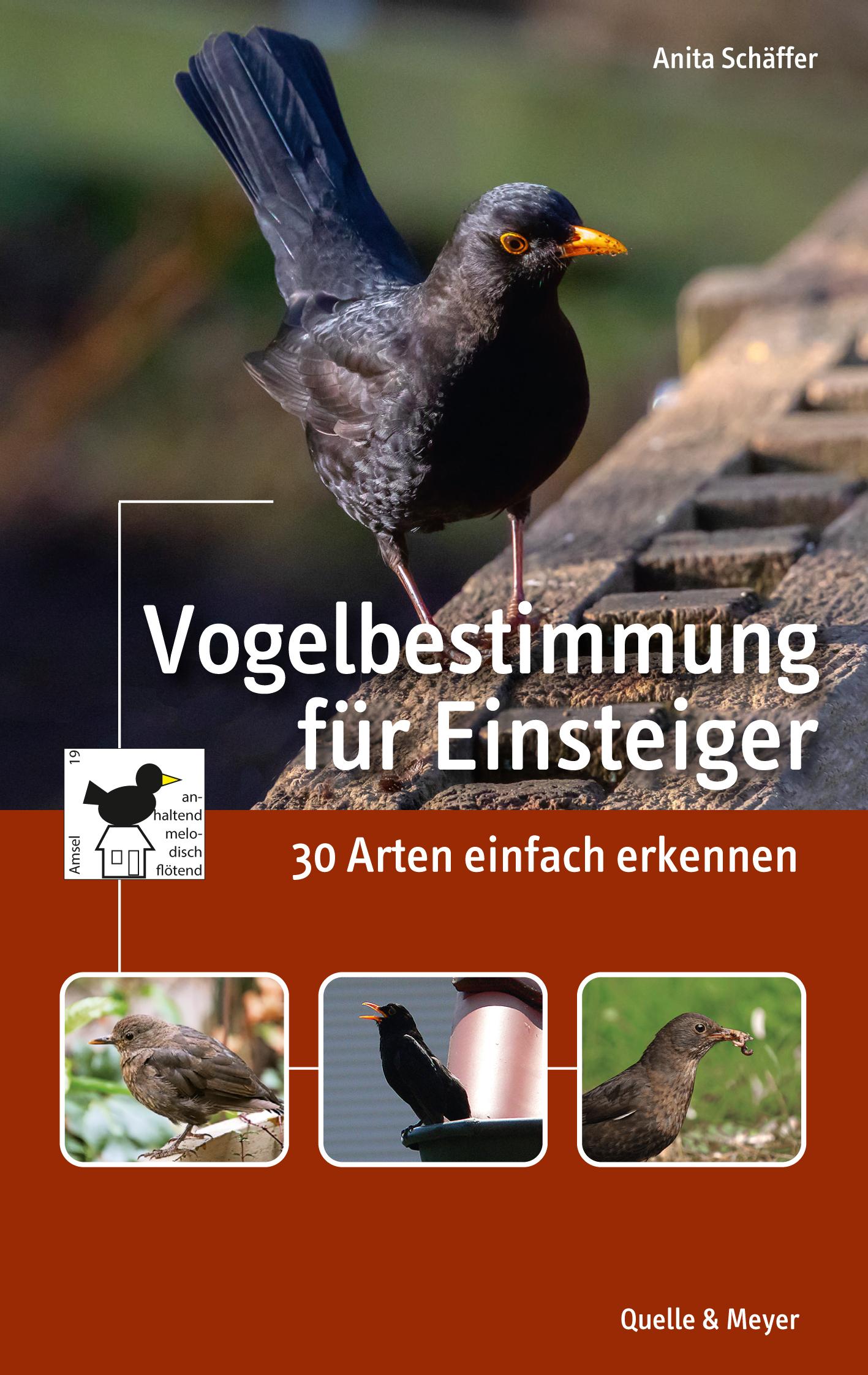 Vorderes Coverbild Vogelbestimmung für Einsteiger