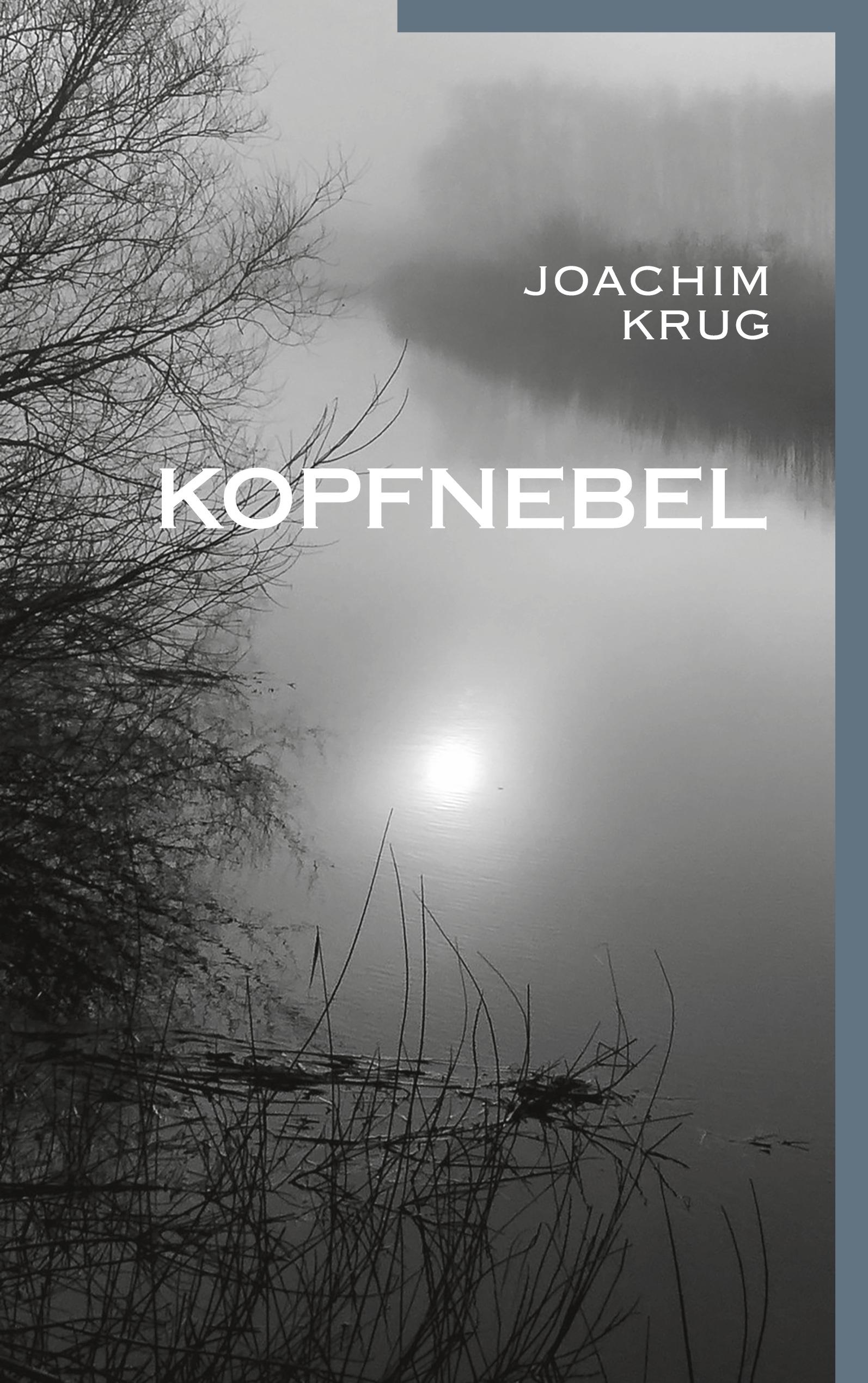 Vorderes Coverbild Kopfnebel