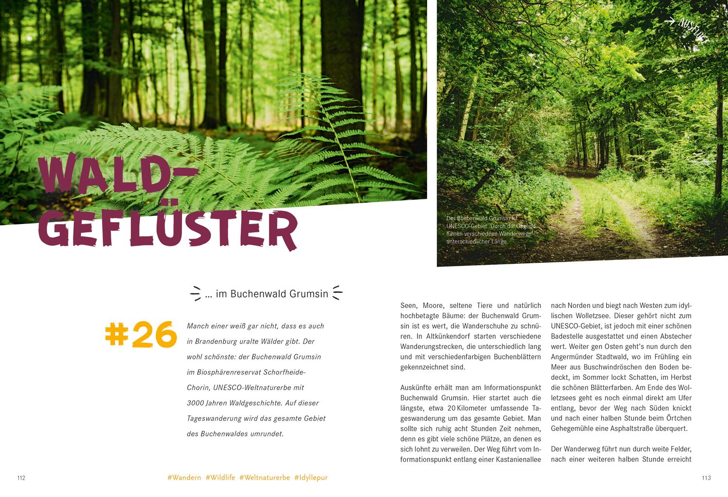 Beispielinhalt (Bild) 52 kleine & große Eskapaden in und um Berlin