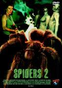 Vorderes Coverbild Spiders 2
