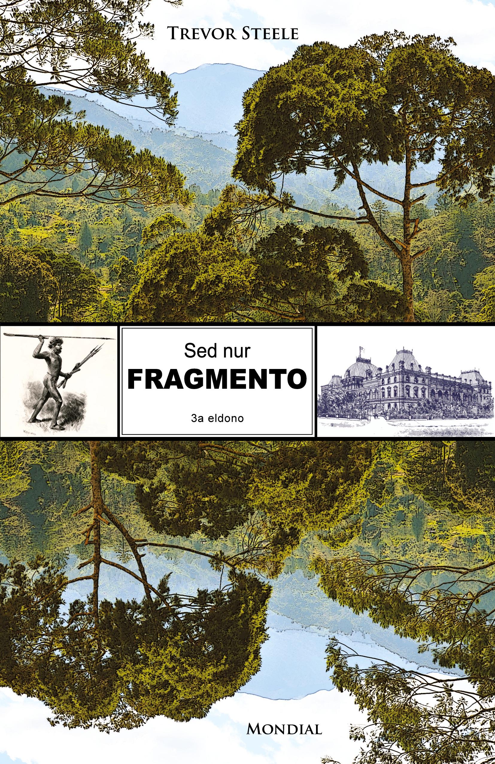 Vorderes Coverbild Sed nur fragmento (Originala romano en Esperanto)