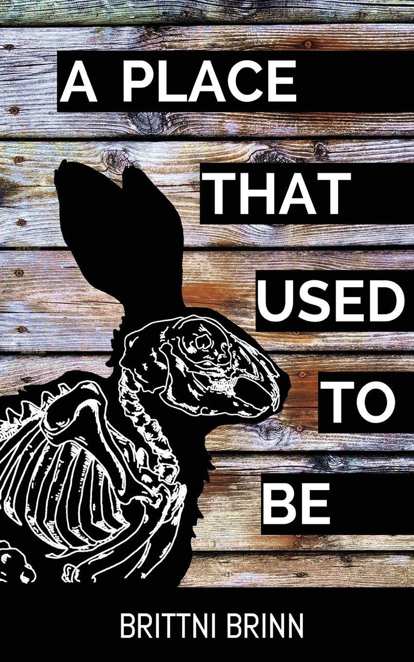 Vorderes Coverbild A Place That Used to Be