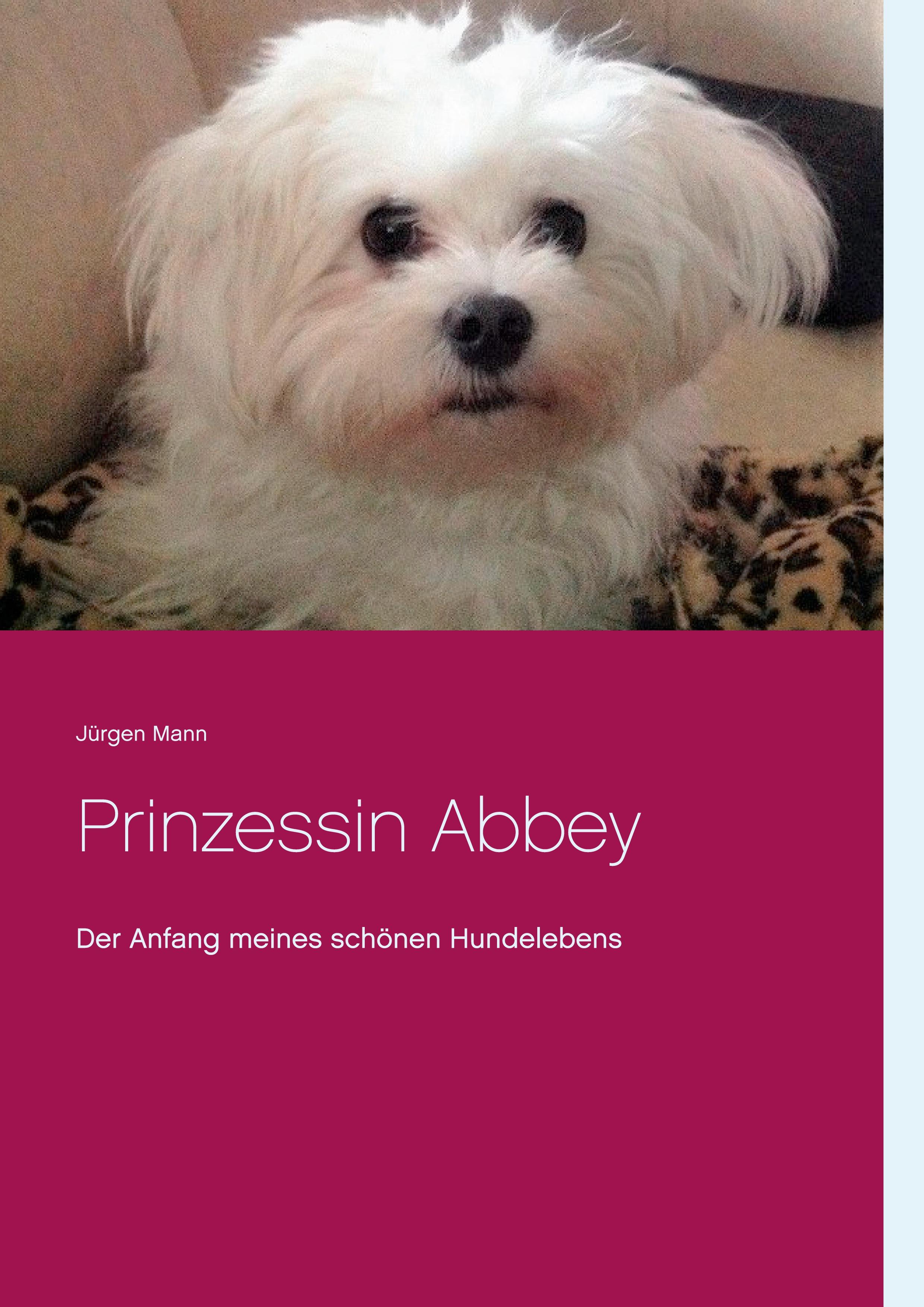 Vorderes Coverbild Prinzessin Abbey