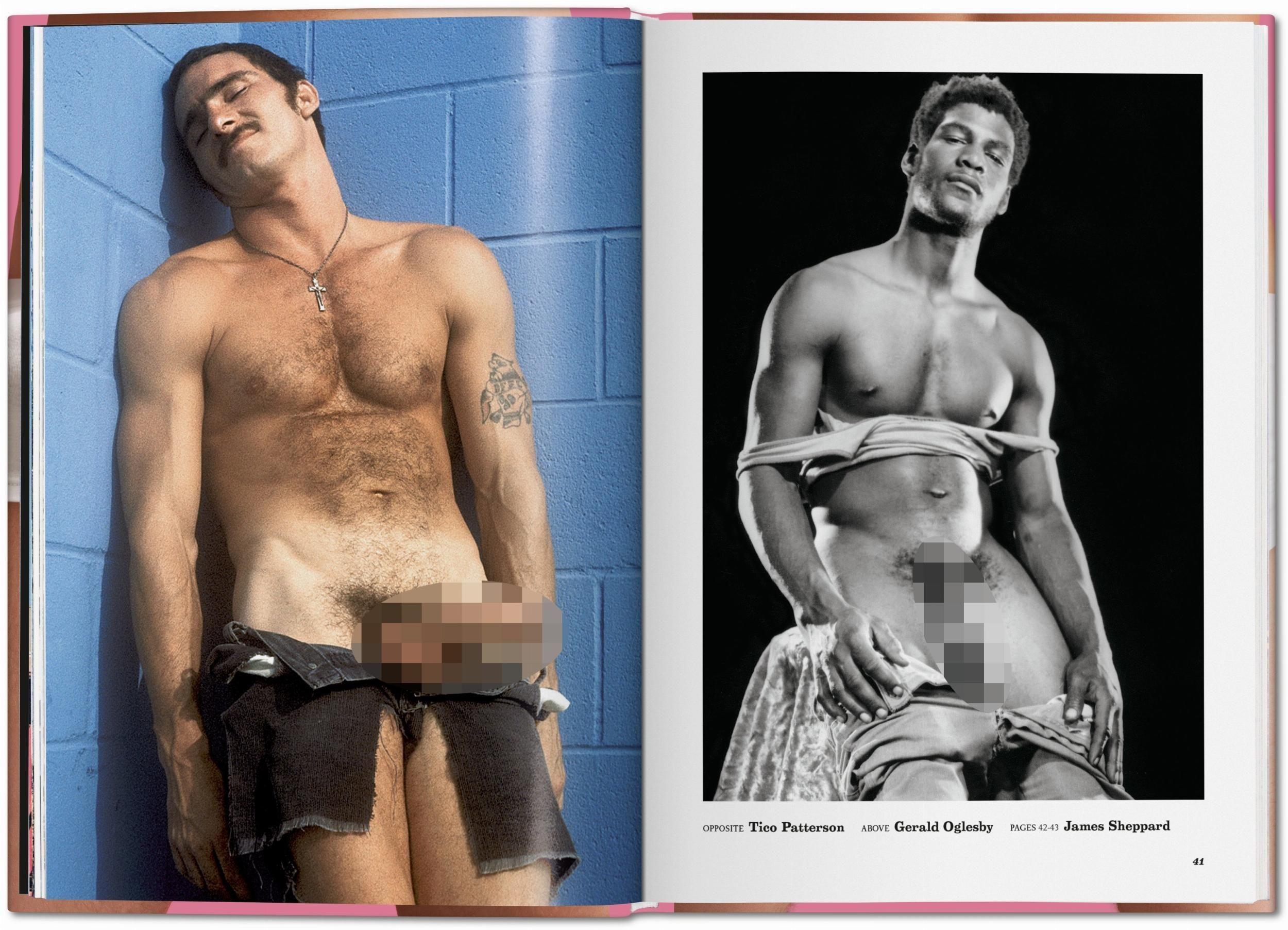 Beispielinhalt (Bild) The Little Big Penis Book