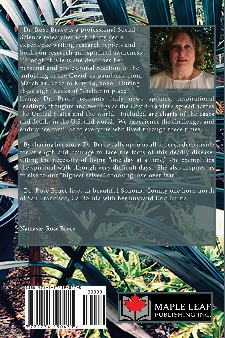 Rückseitencover Pandemic