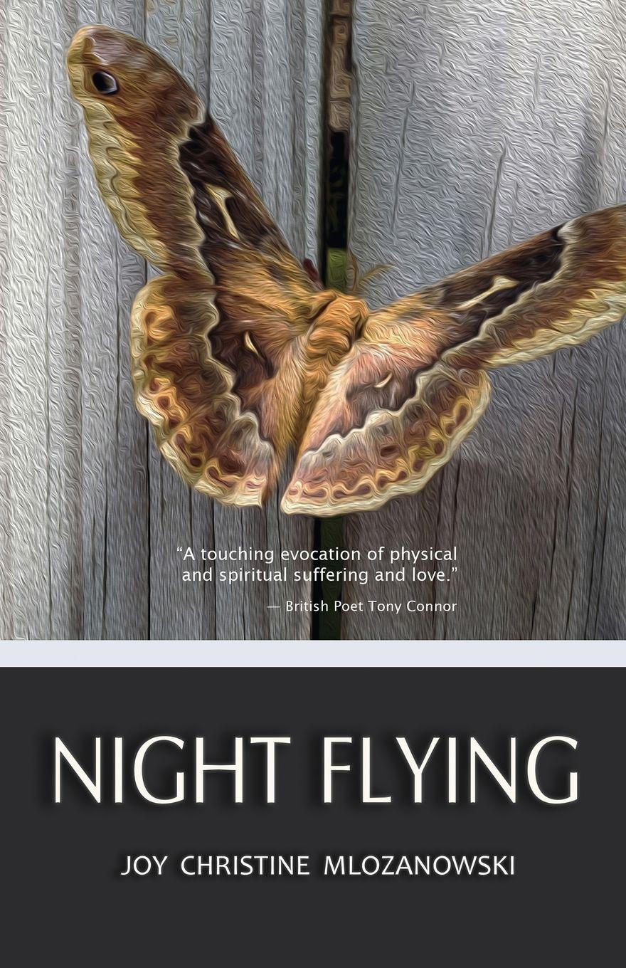 Vorderes Coverbild Night Flying