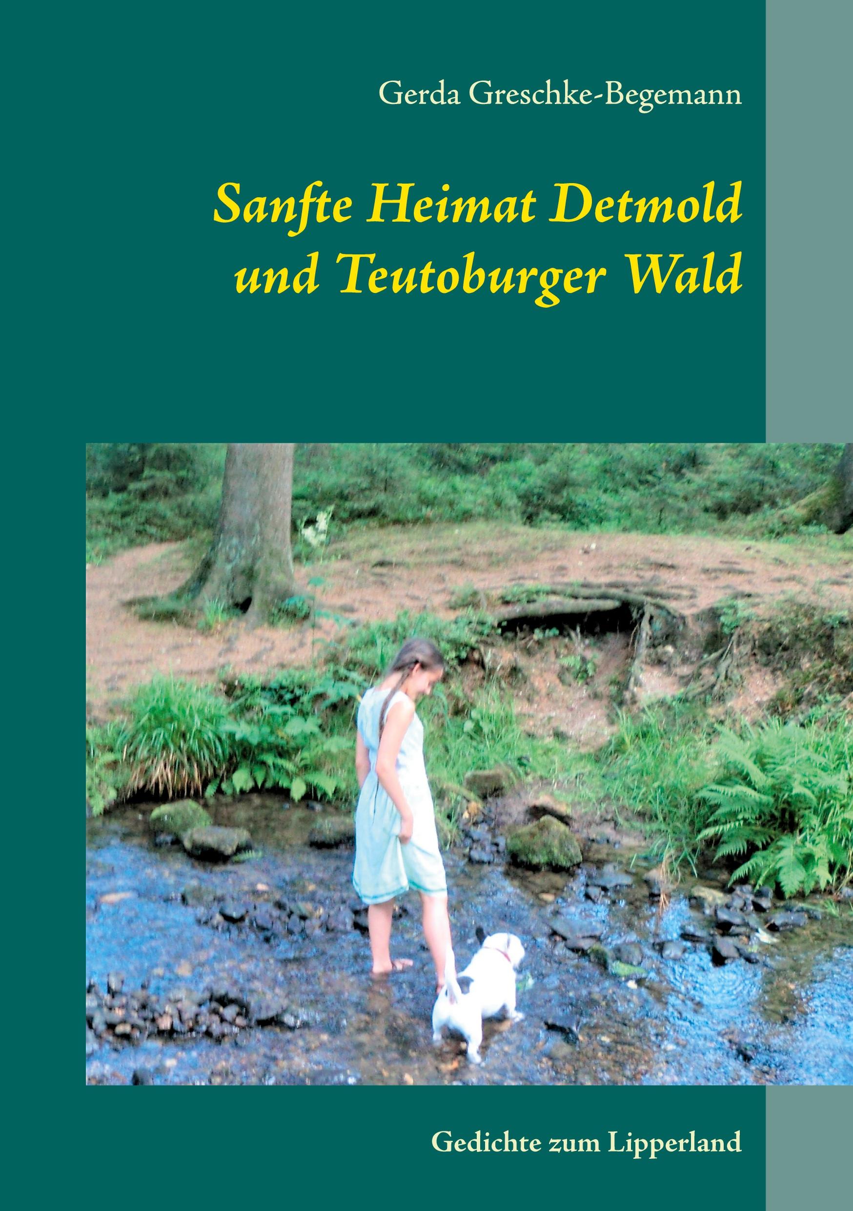 Vorderes Coverbild Sanfte Heimat Detmold und Teutoburger Wald