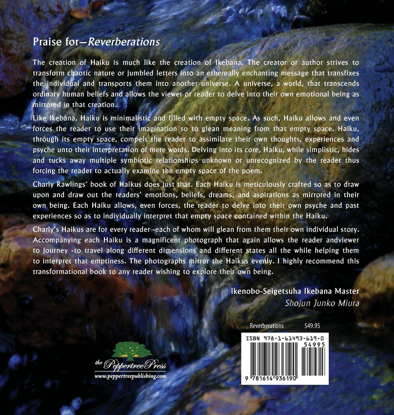 Rückseitencover Reverberations