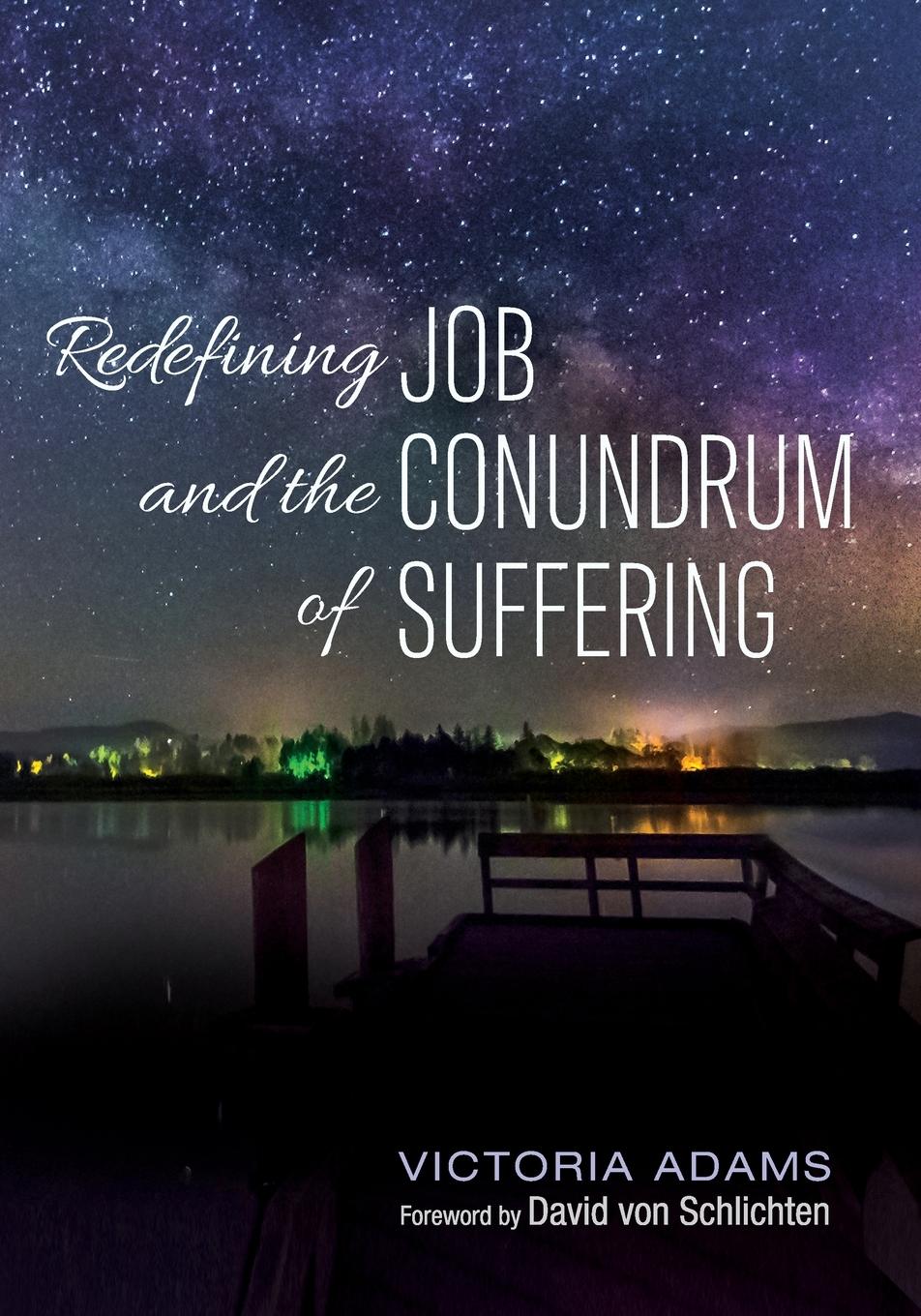 Vorderes Coverbild Redefining Job and the Conundrum of Suffering