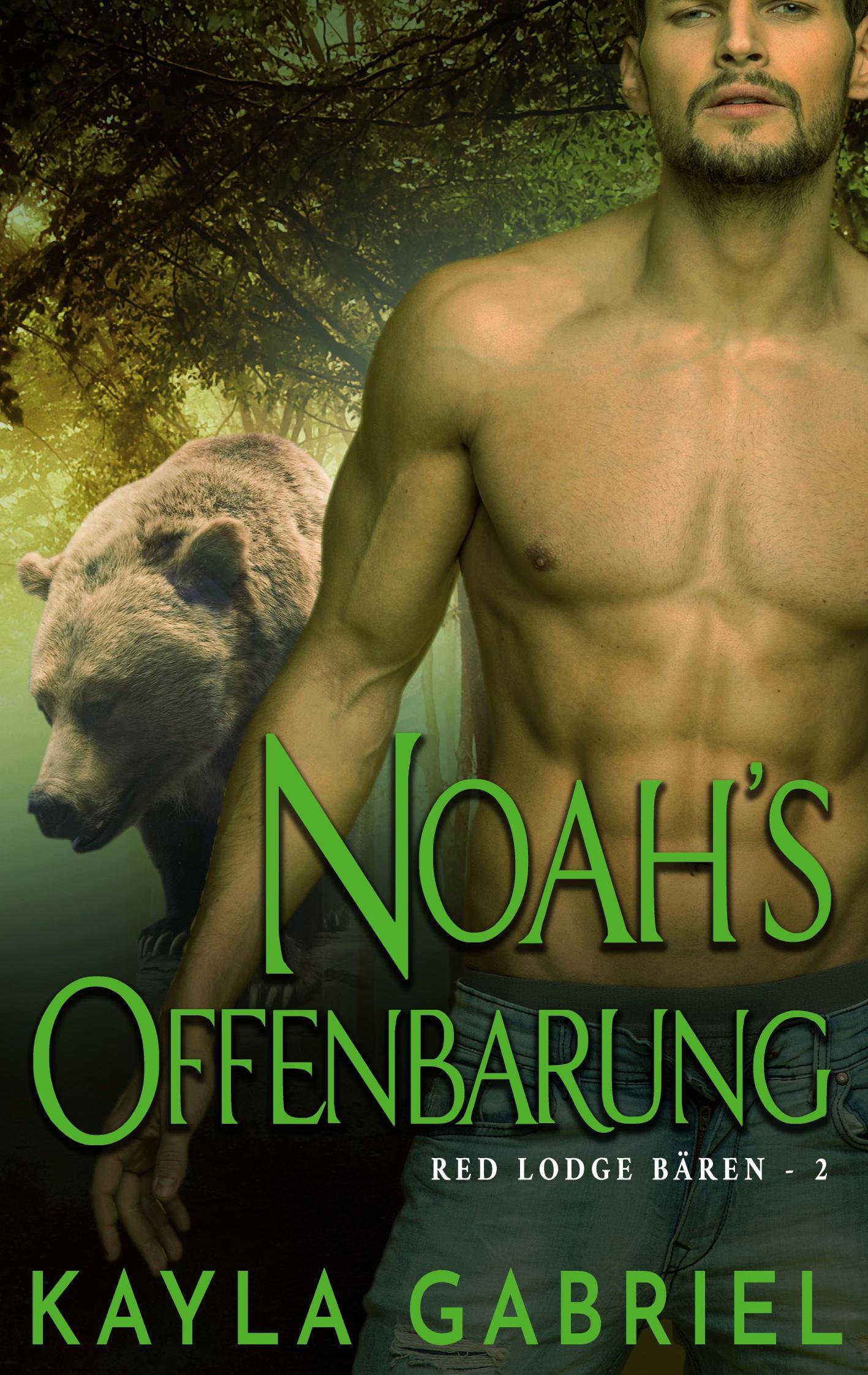 Vorderes Coverbild Noah's Offenbarung