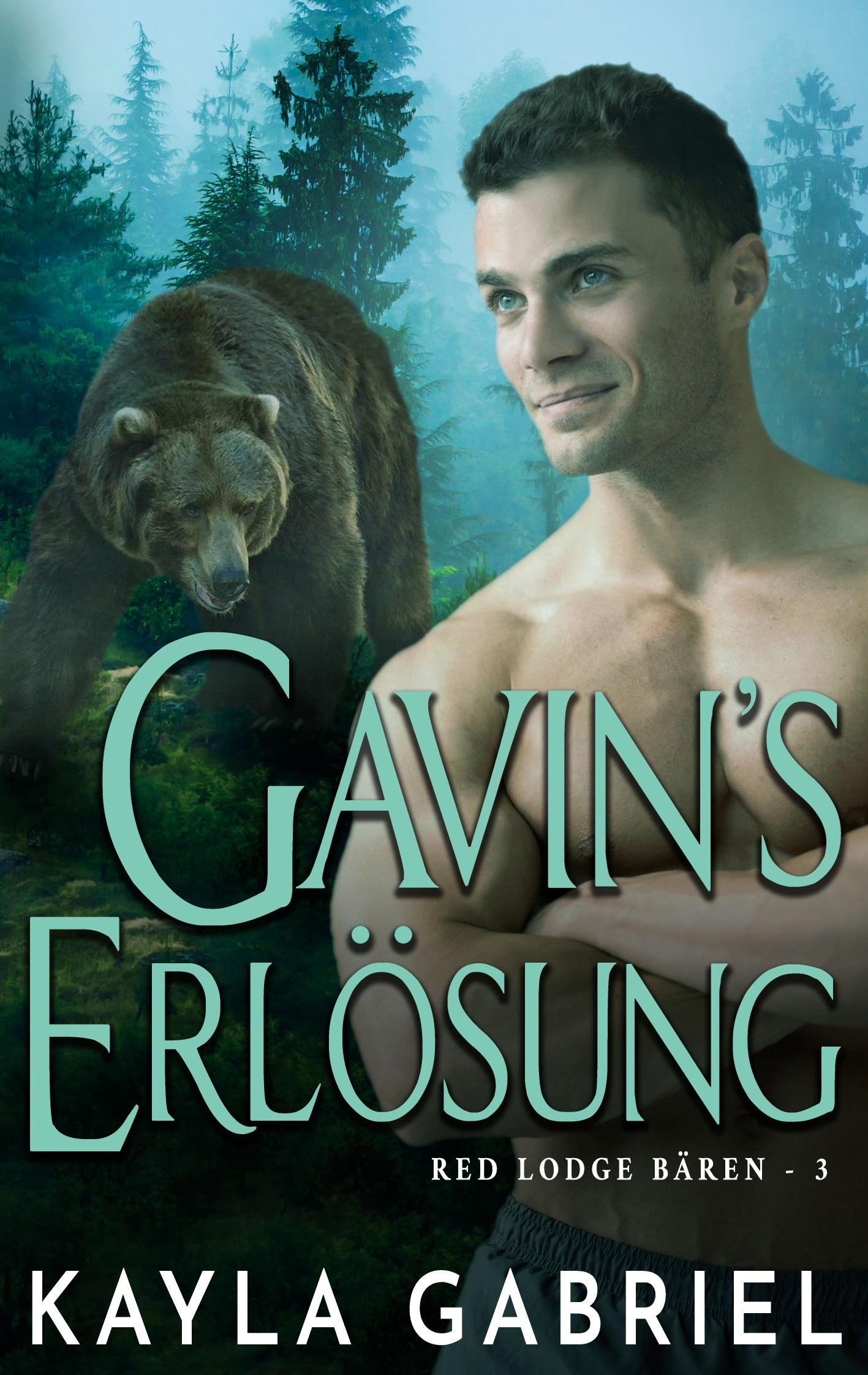 Vorderes Coverbild Gavin's Erlösung