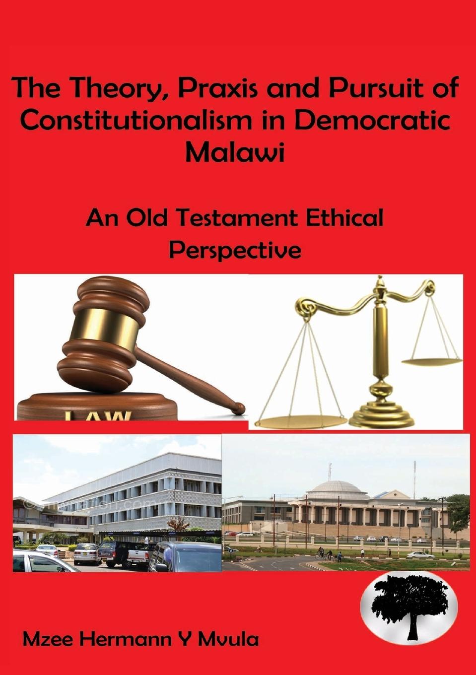 Vorderes Coverbild The Theory, Praxis and Pursuit of Constitutionalism in Democratic Malawi