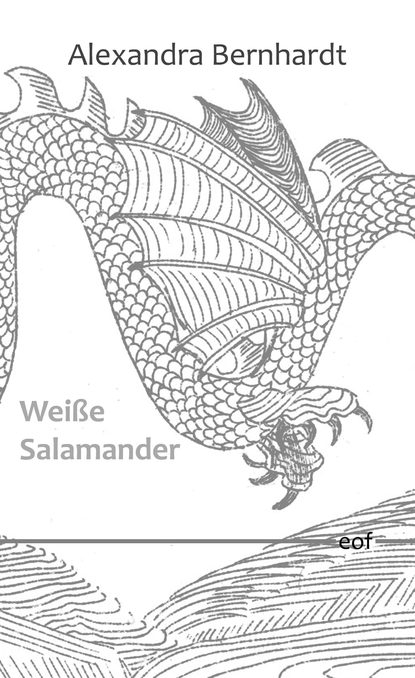 Vorderes Coverbild Weiße Salamander