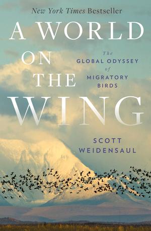 Vorderes Coverbild A World on the Wing