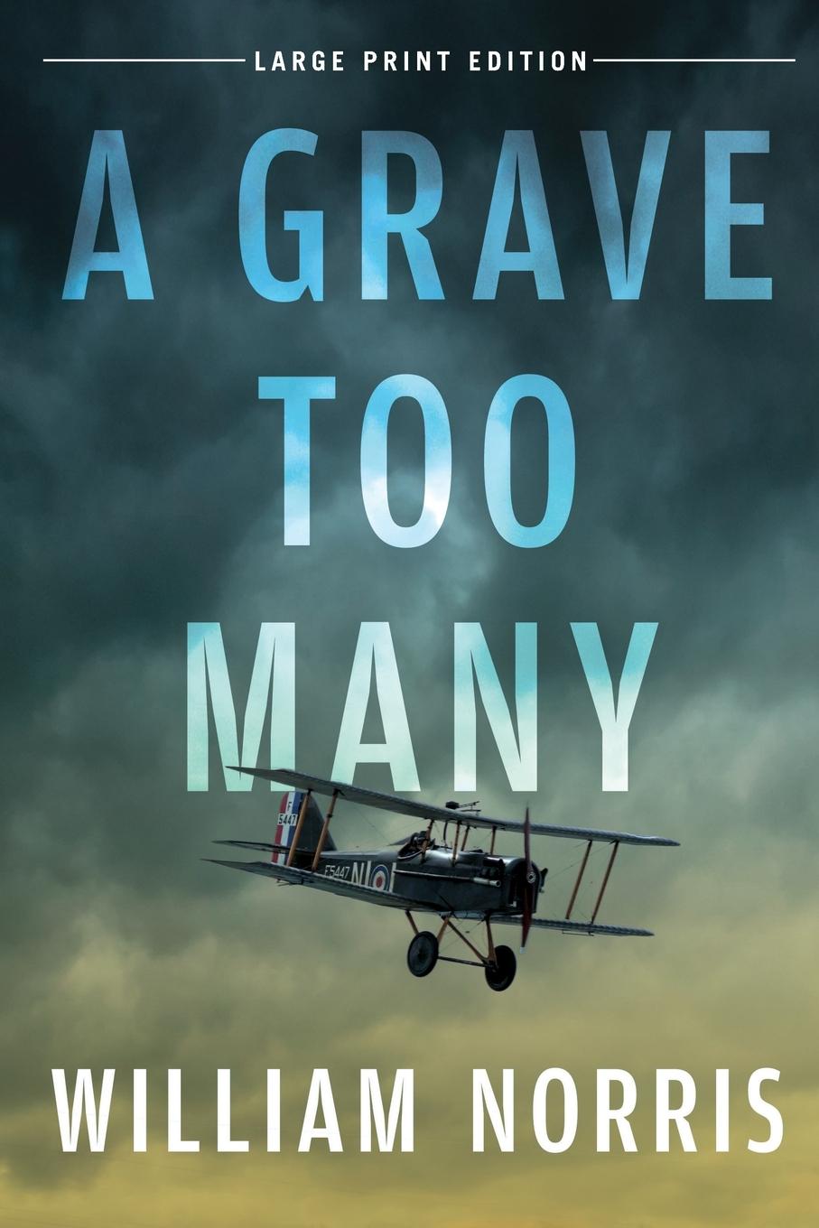 Vorderes Coverbild A Grave Too Many