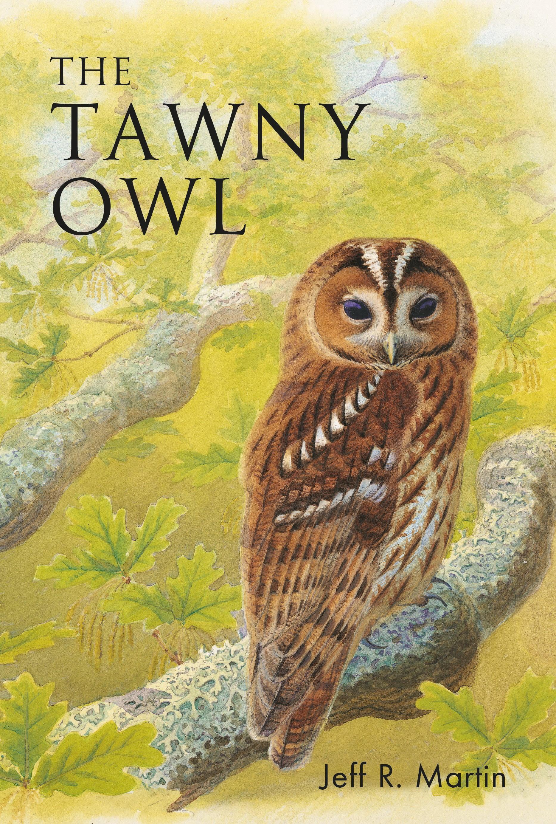 Vorderes Coverbild The Tawny Owl