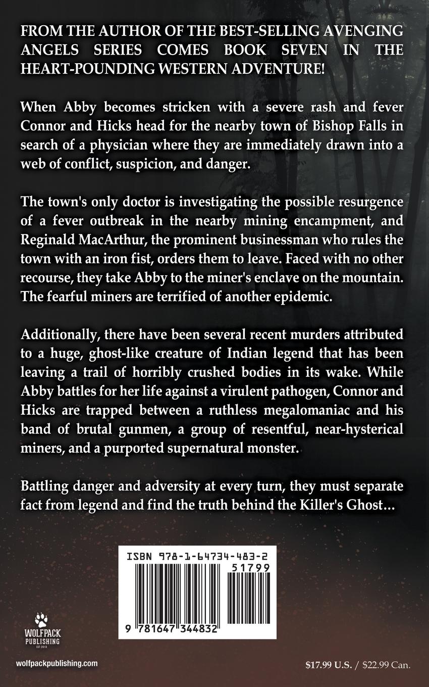 Rückseitencover Gunslinger