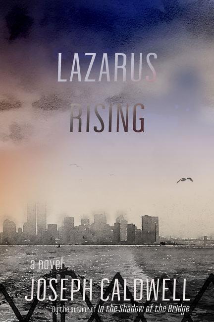 Vorderes Coverbild Lazarus Rising a Novel