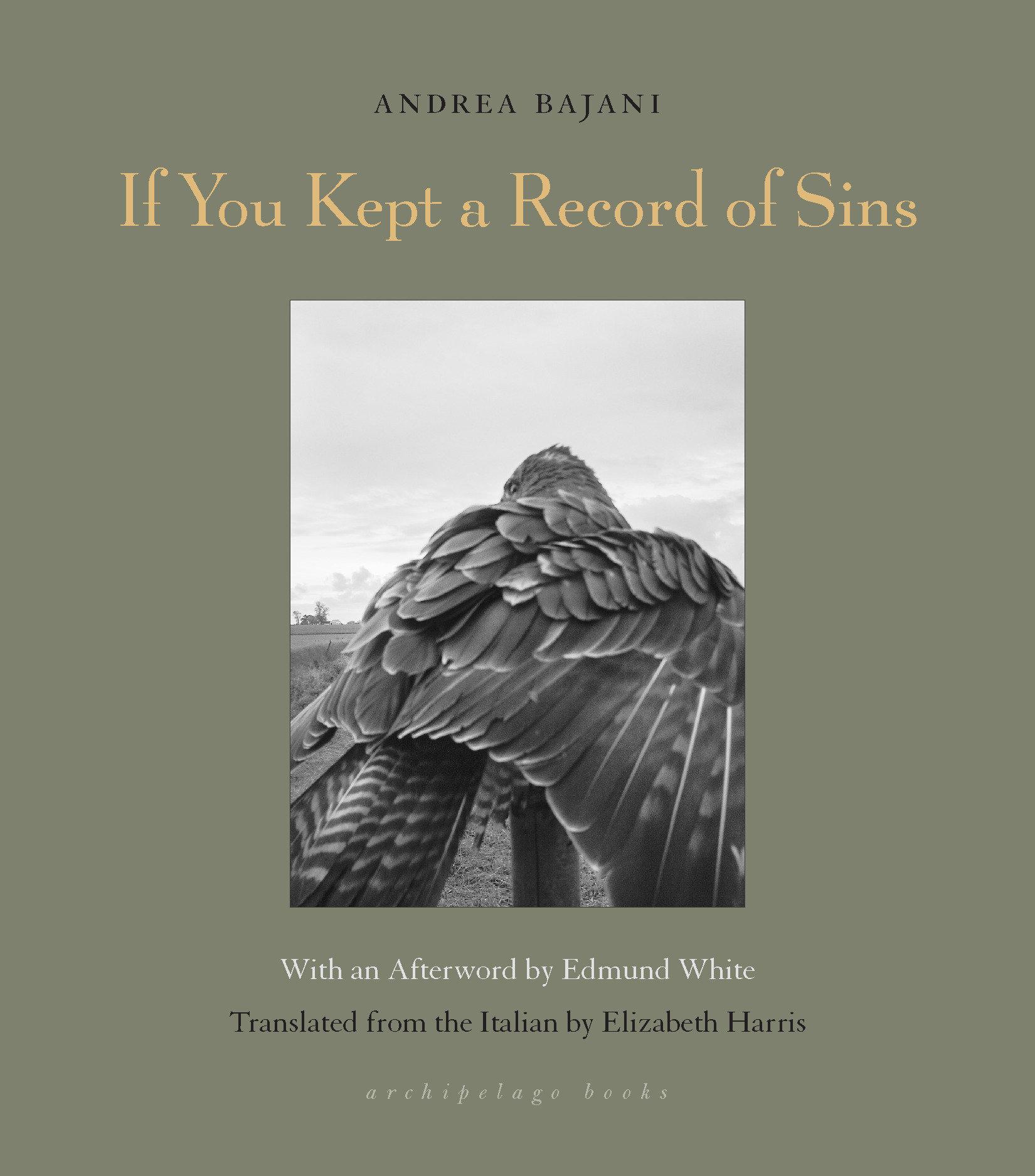 Vorderes Coverbild If You Kept a Record of Sins