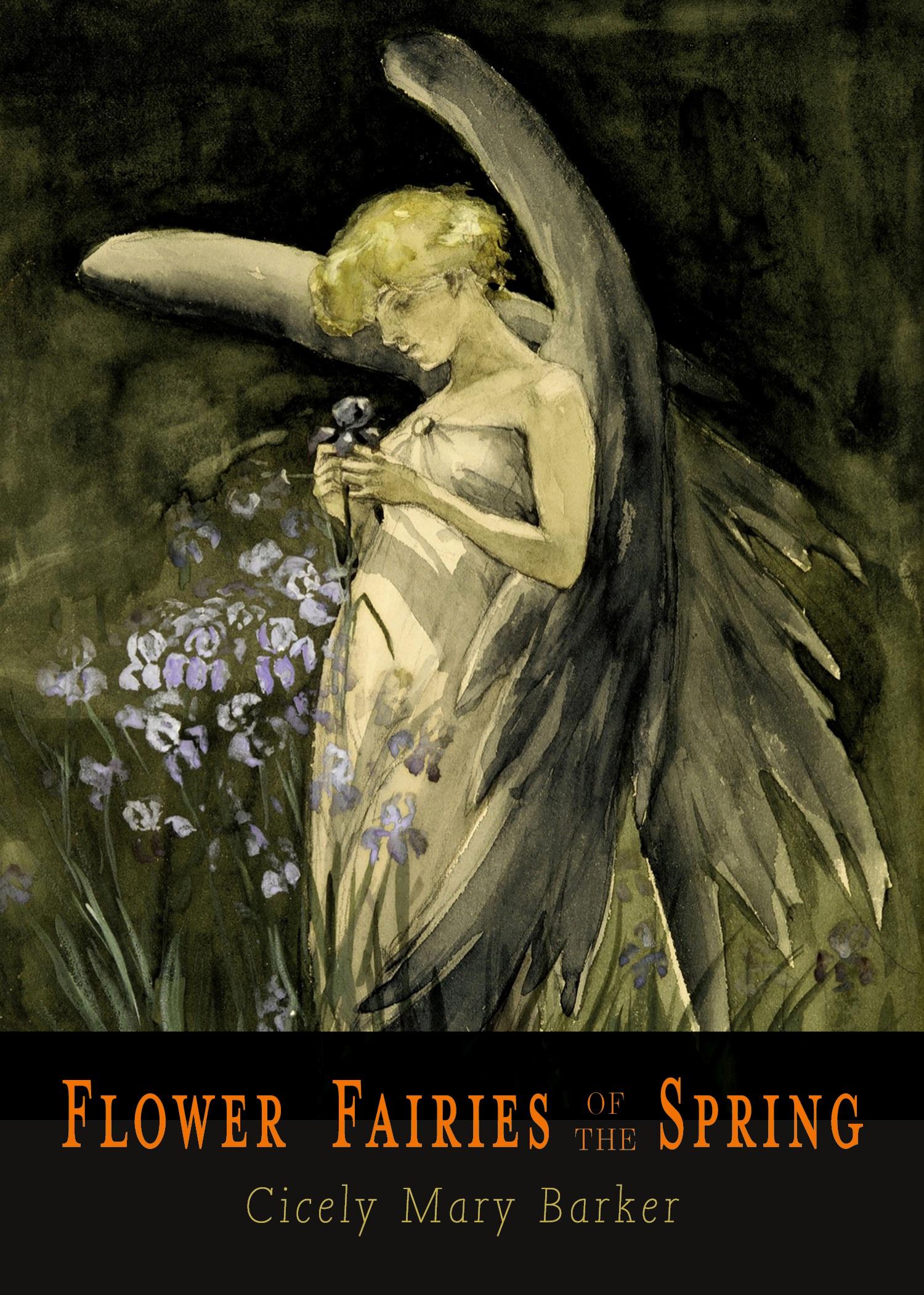 Vorderes Coverbild Flower Fairies of the Spring