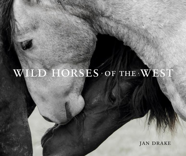 Vorderes Coverbild Wild Horses of the West
