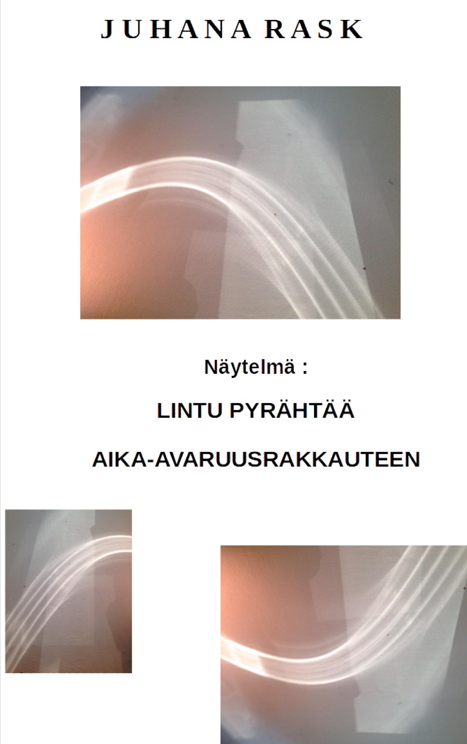 Vorderes Coverbild Lintu pyrähtää aika-avaruusrakkauteen
