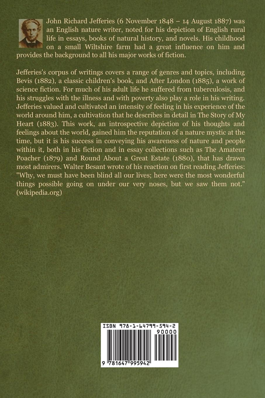 Rückseitencover The Open Air