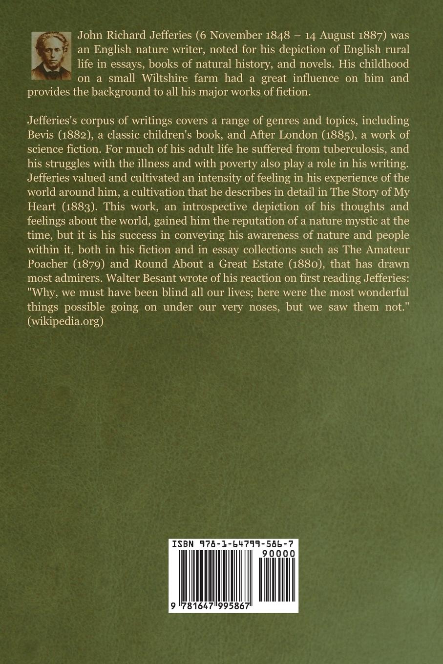 Rückseitencover Amaryllis at the Fair