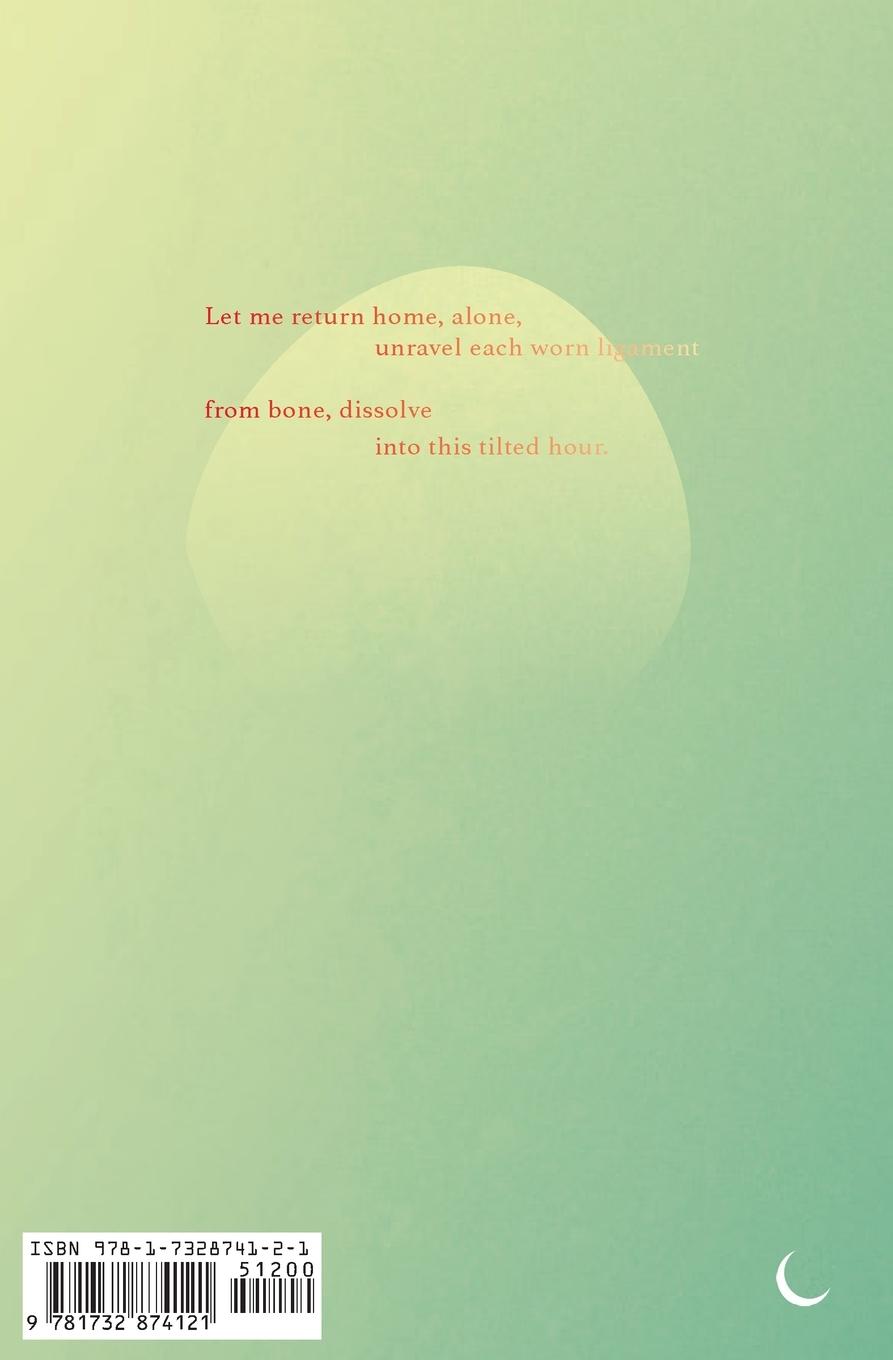 Rückseitencover Bruised Gospel