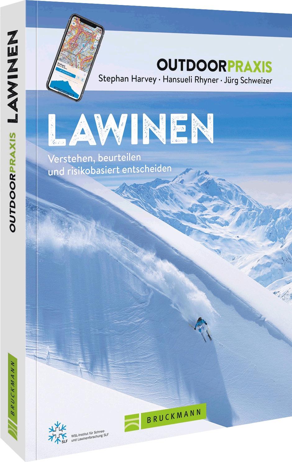 Vorderes Coverbild Lawinen
