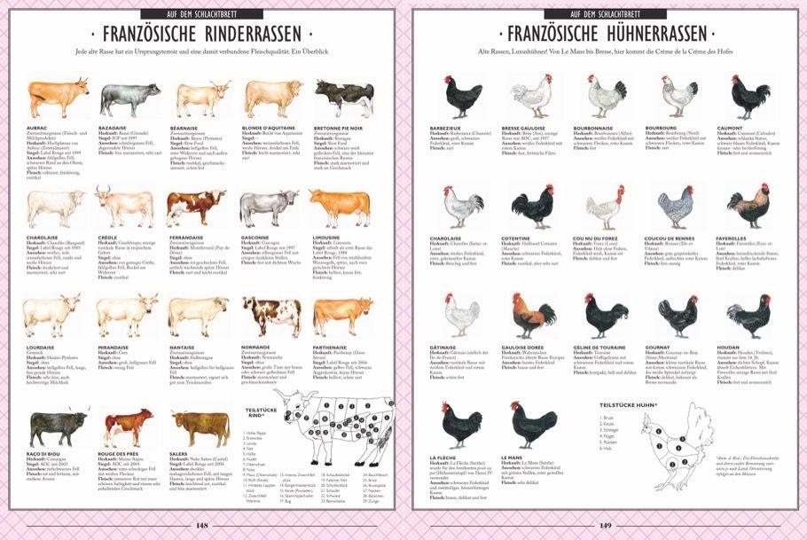 Beispielinhalt (Bild) Die Gourmet-Bibel Frankreich