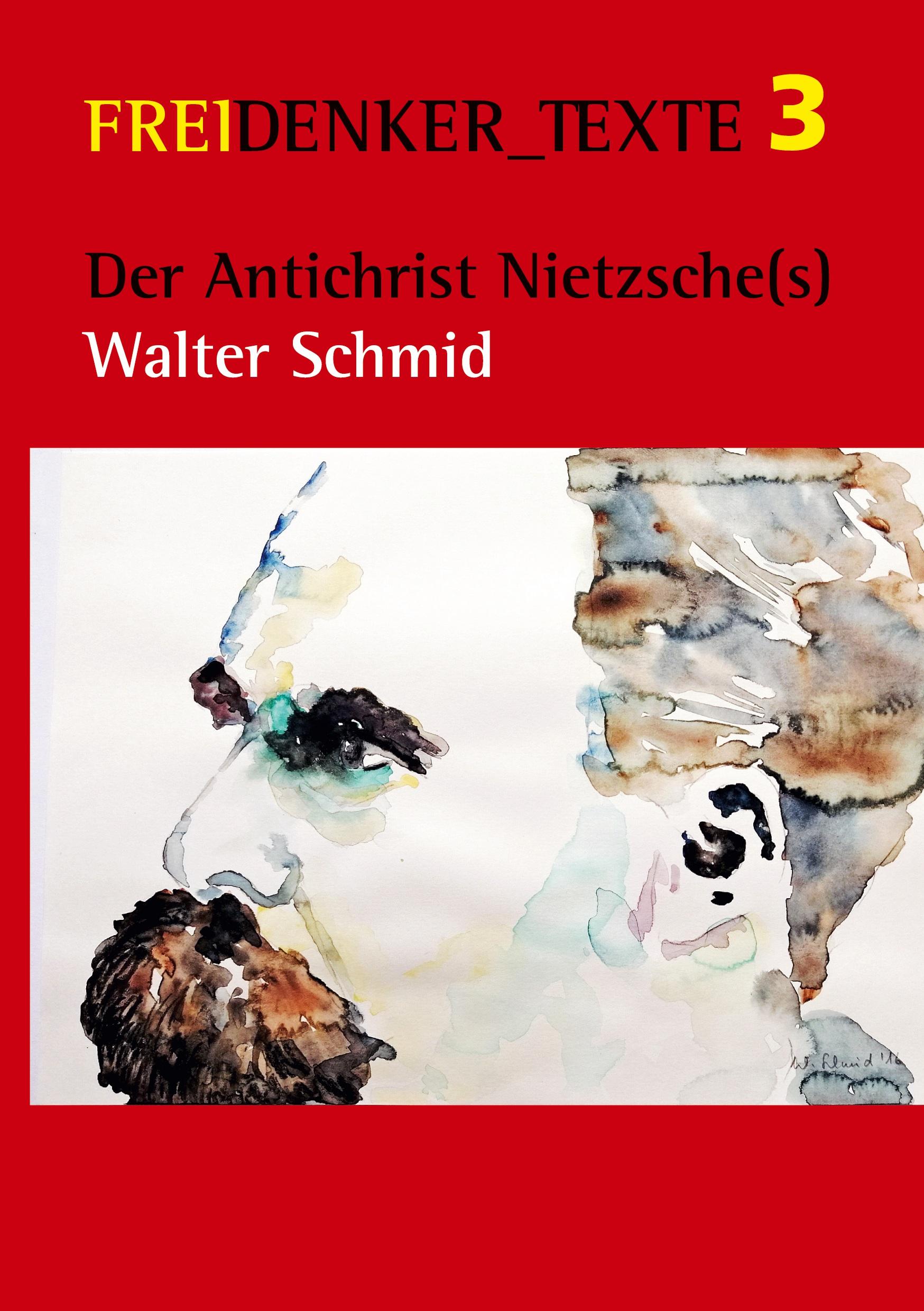 Vorderes Coverbild Der Antichrist Nietzsche(s)