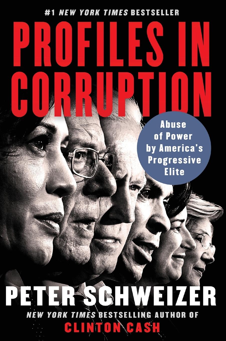 Vorderes Coverbild Profiles in Corruption