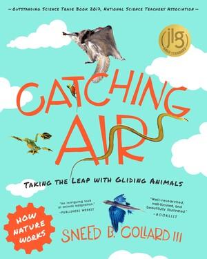 Vorderes Coverbild Catching Air