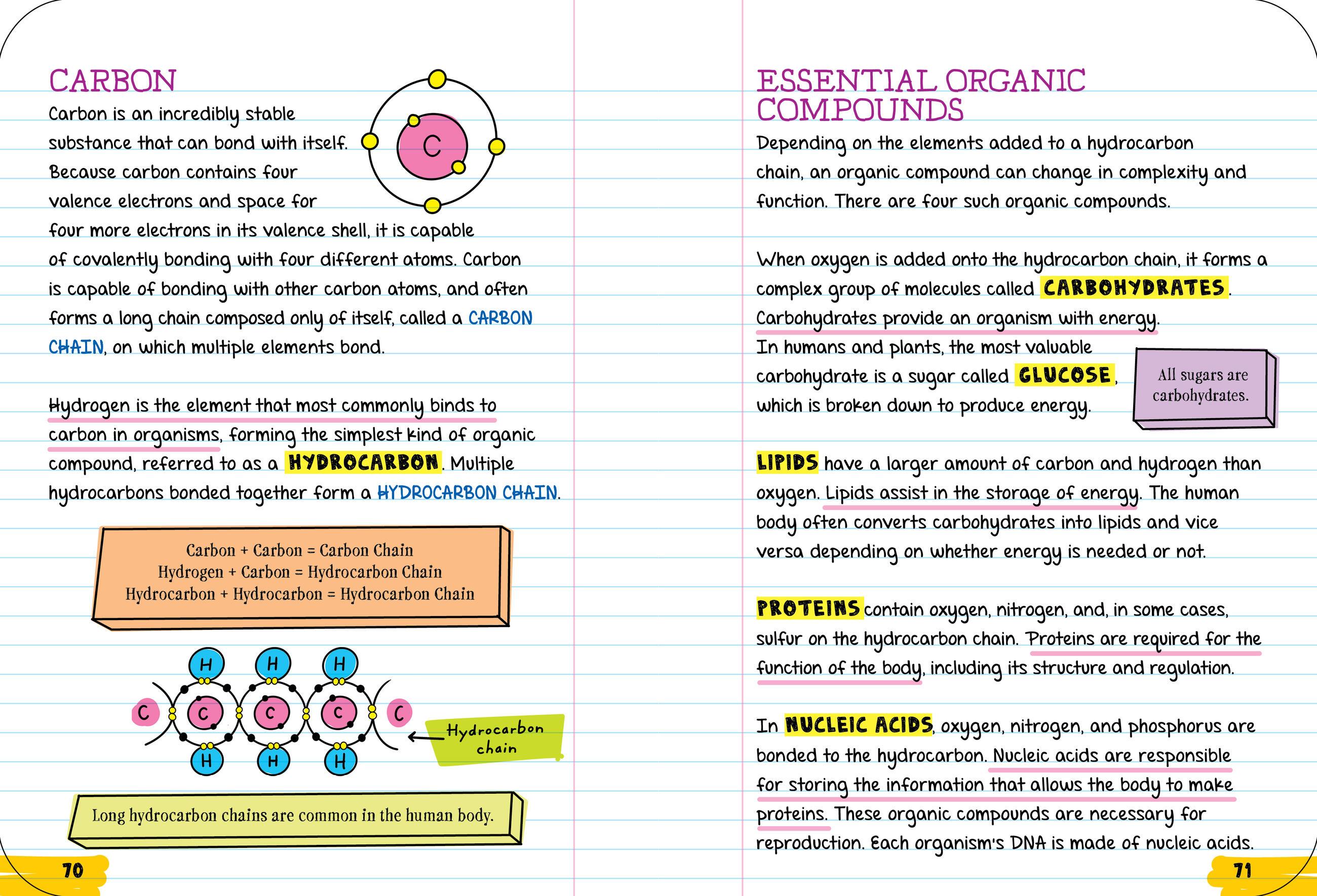 Beispielinhalt (Bild) Everything You Need to Ace Biology in One Big Fat Notebook
