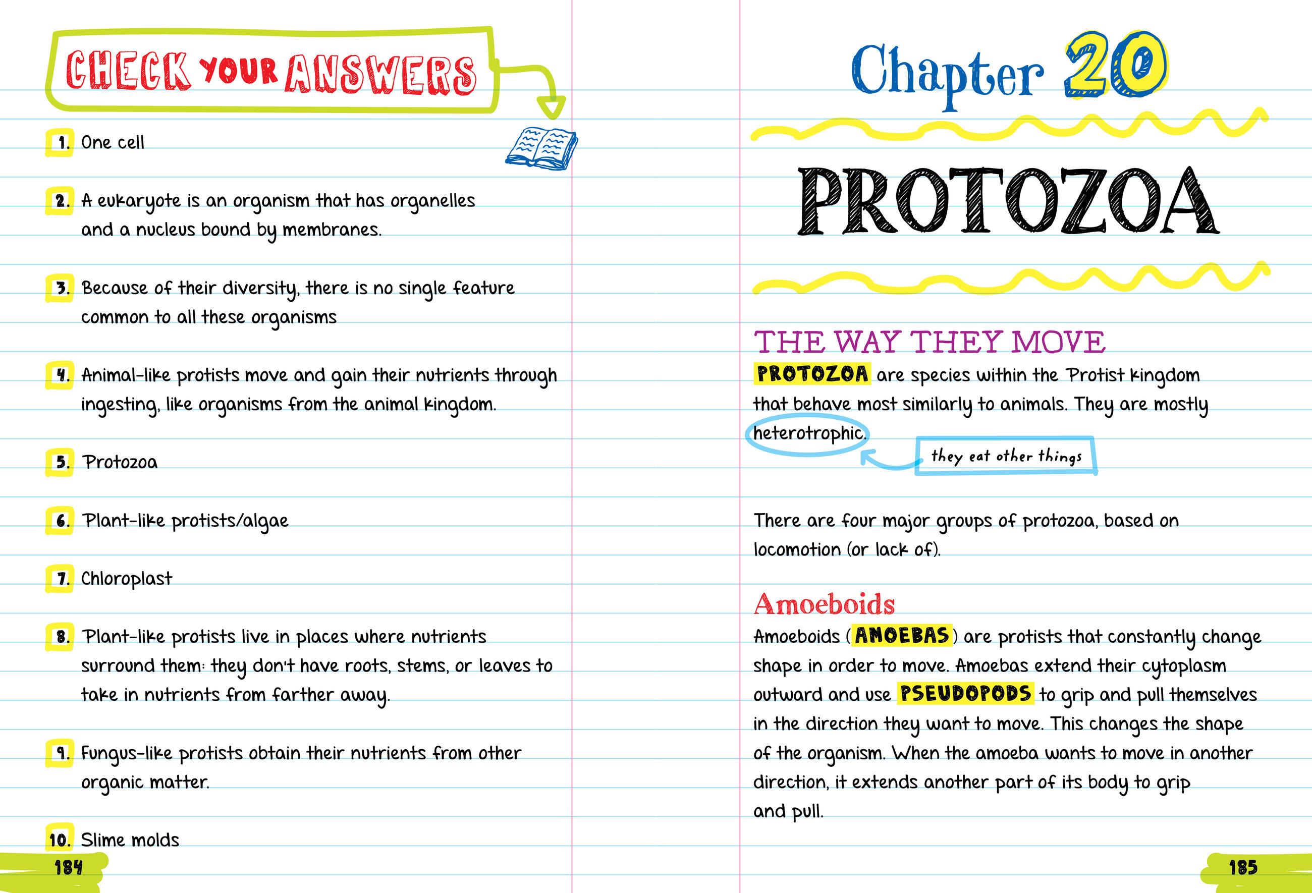 Beispielinhalt (Bild) Everything You Need to Ace Biology in One Big Fat Notebook