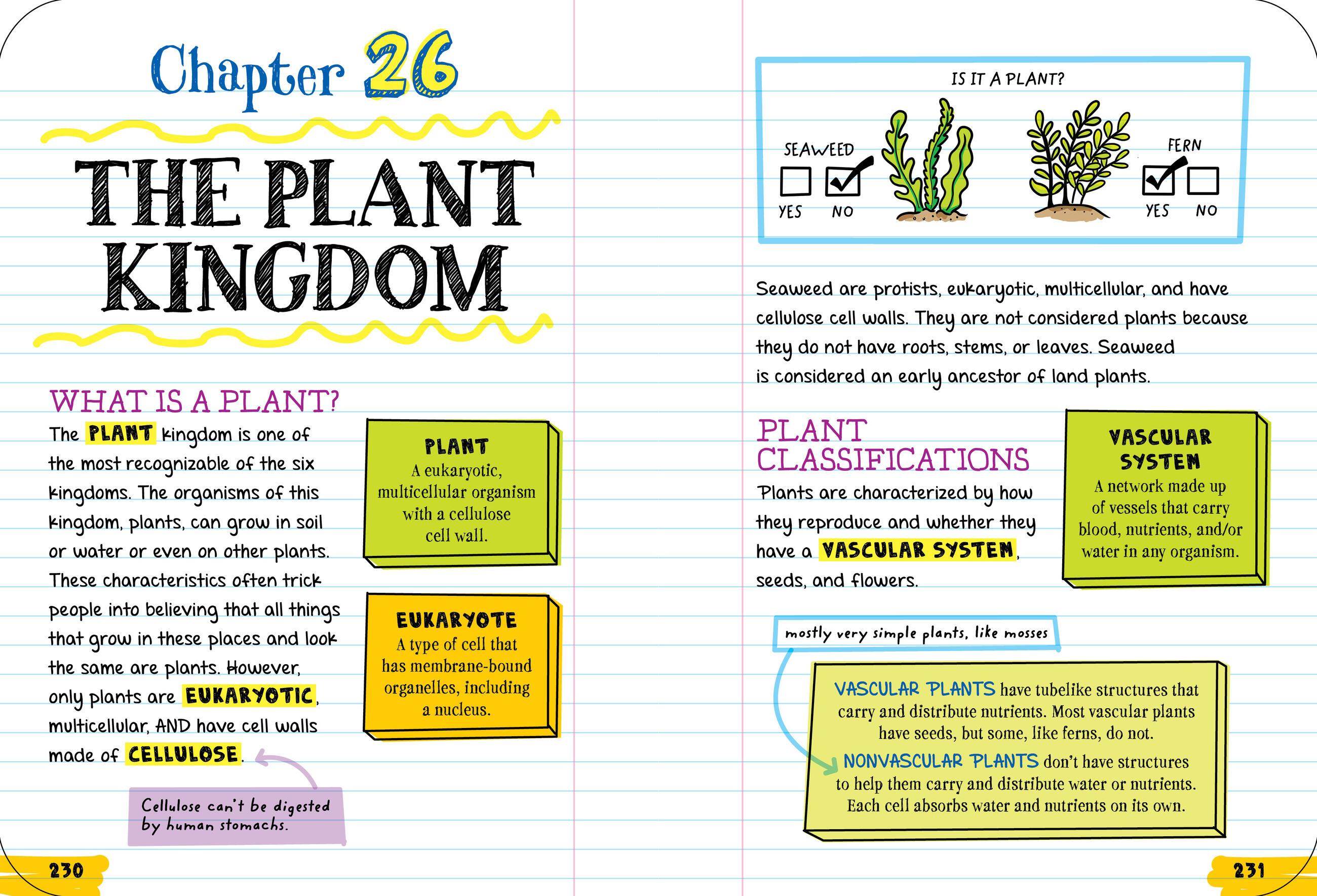 Beispielinhalt (Bild) Everything You Need to Ace Biology in One Big Fat Notebook