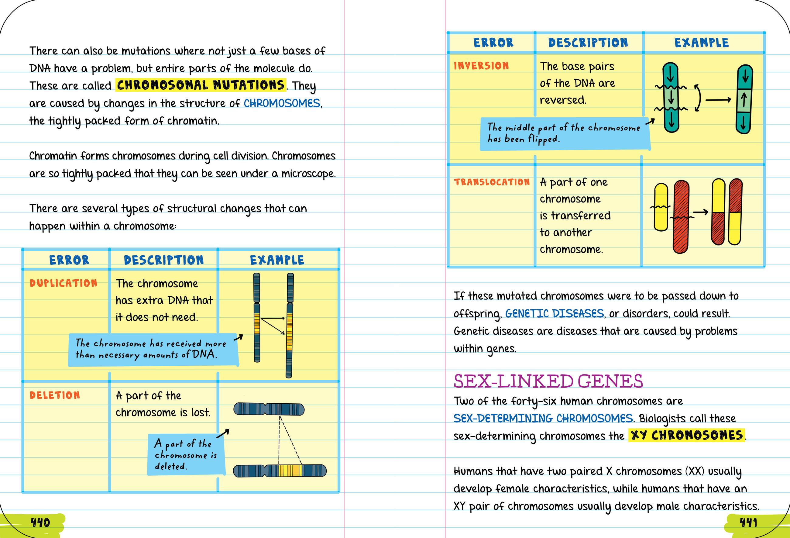 Beispielinhalt (Bild) Everything You Need to Ace Biology in One Big Fat Notebook