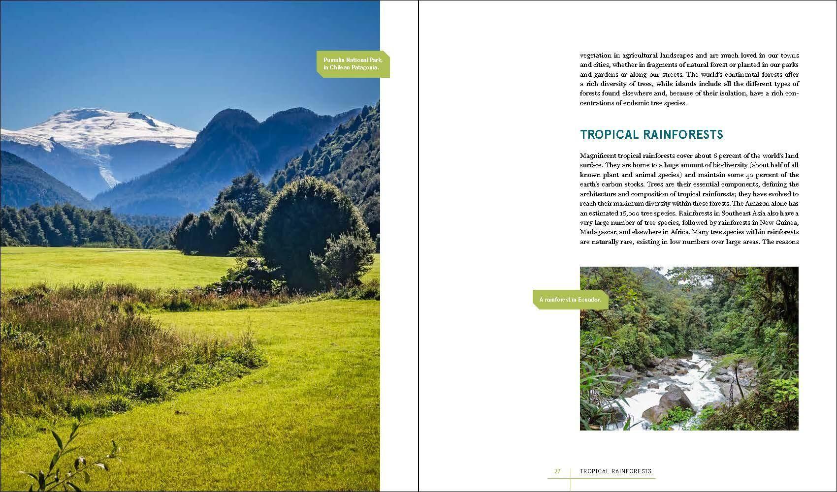 Beispielinhalt (Bild) Rare Trees