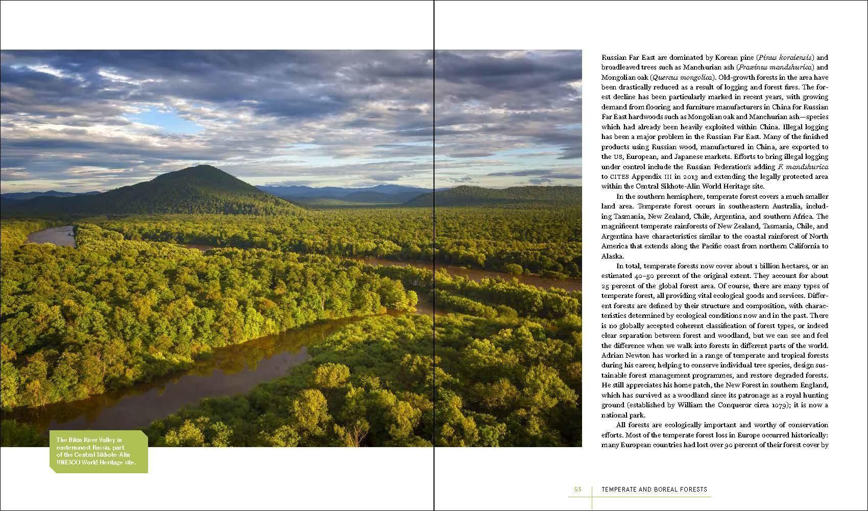 Beispielinhalt (Bild) Rare Trees