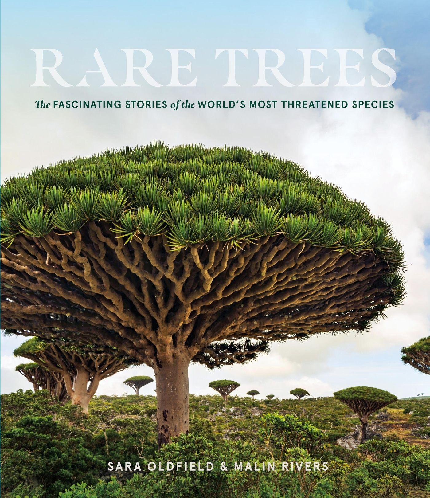 Vorderes Coverbild Rare Trees