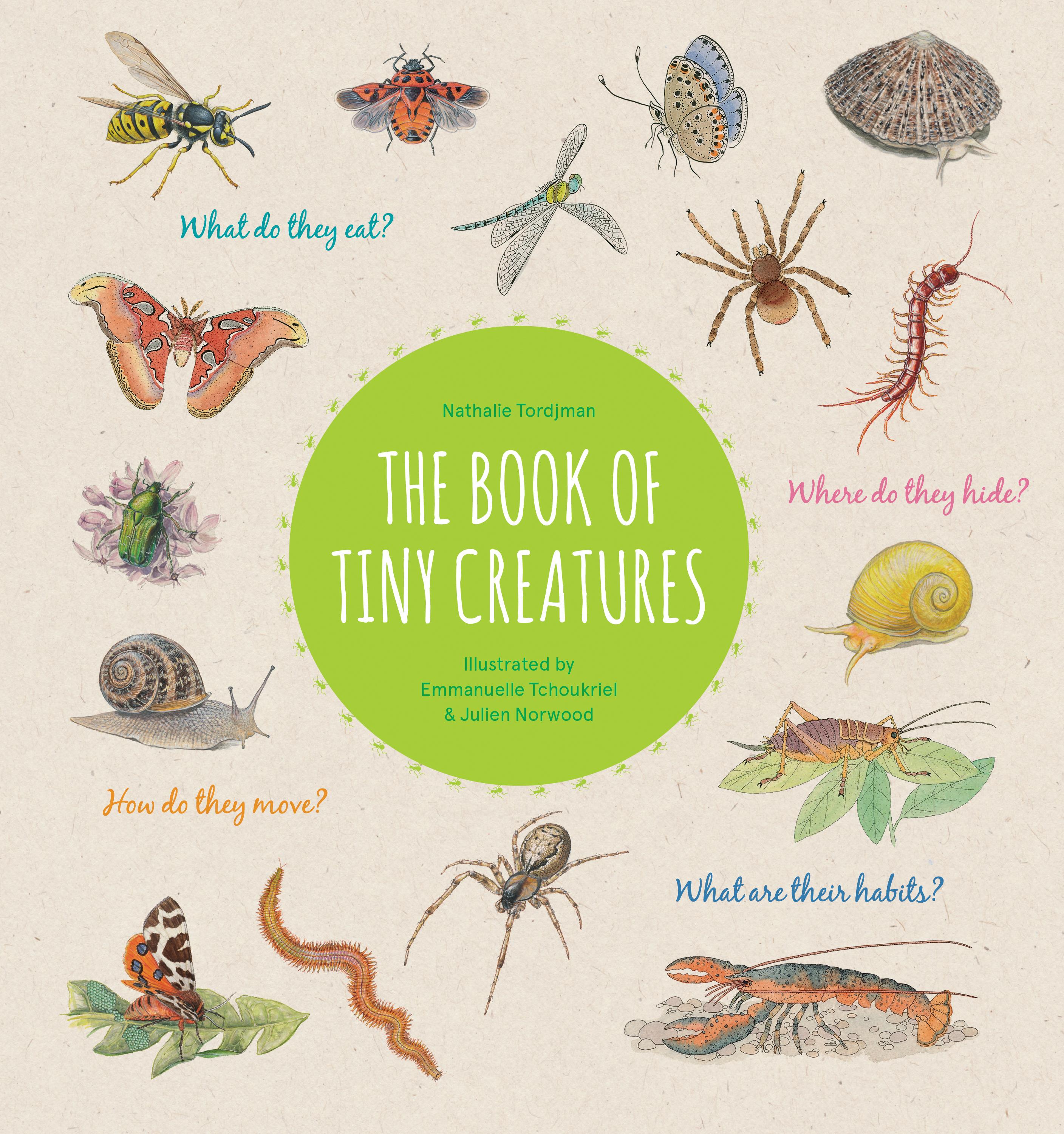 Vorderes Coverbild The Book of Tiny Creatures