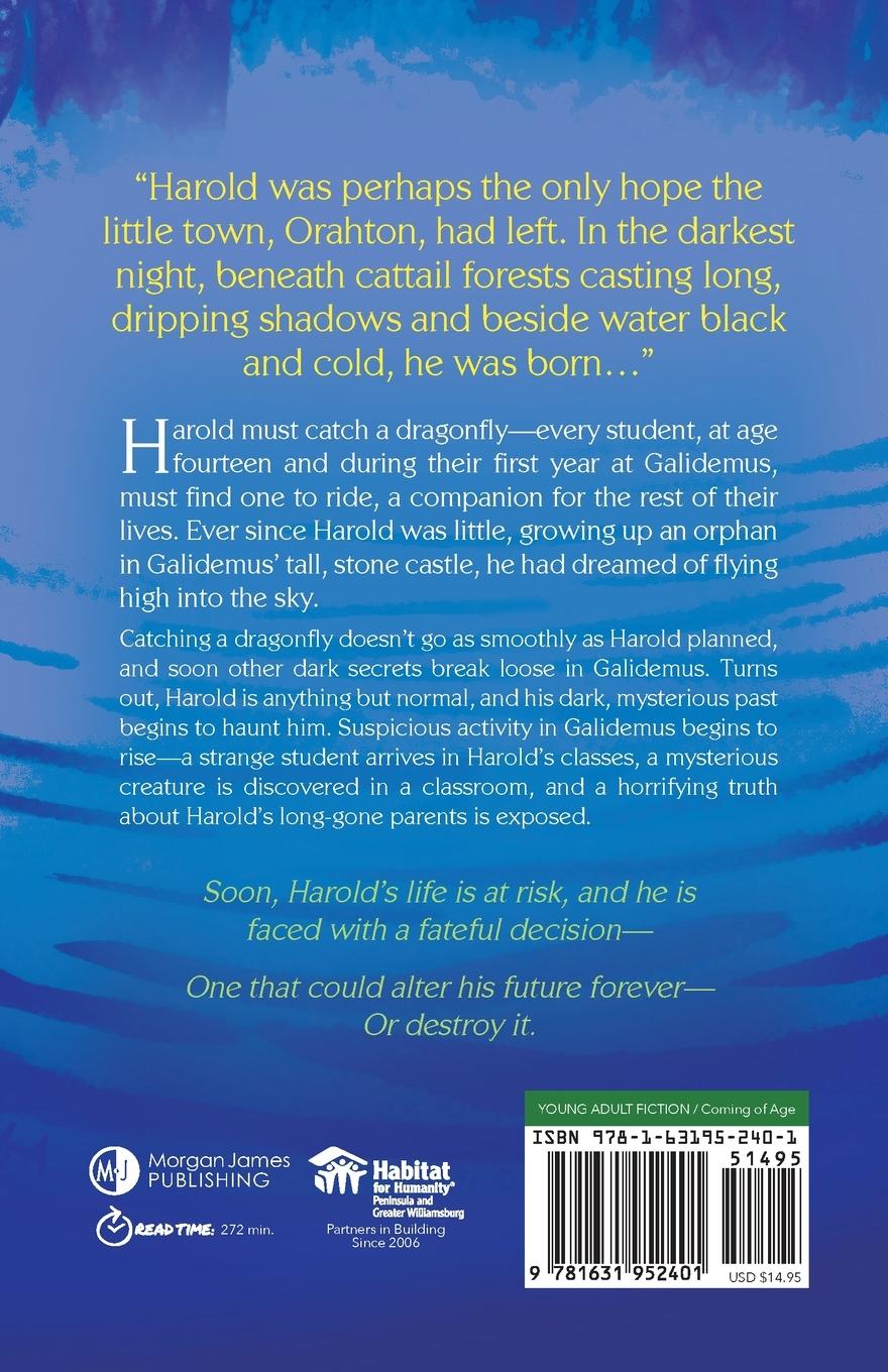 Rückseitencover Far Below Human Eyes