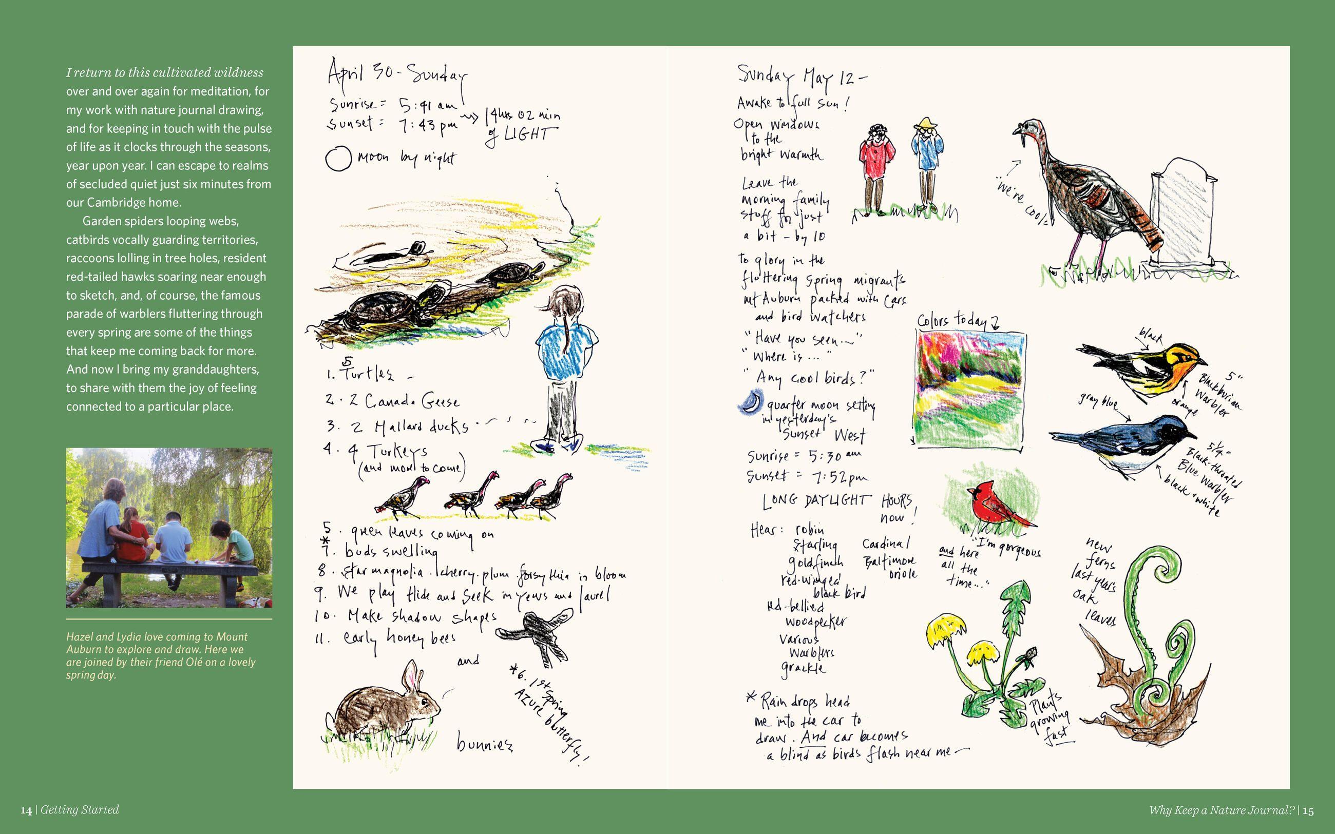 Beispielinhalt (Bild) Keeping a Nature Journal, 3rd Edition