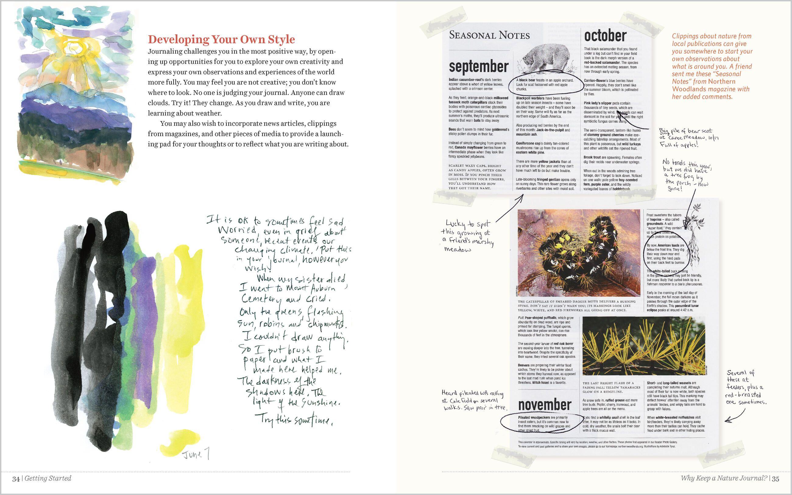 Beispielinhalt (Bild) Keeping a Nature Journal, 3rd Edition