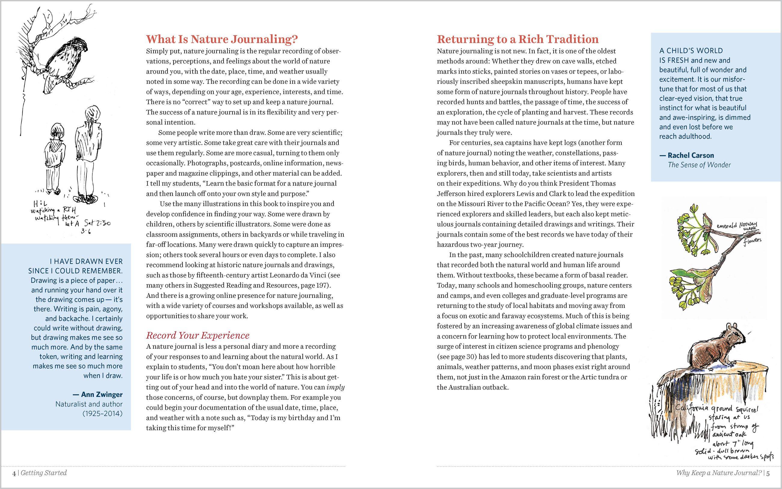 Beispielinhalt (Bild) Keeping a Nature Journal, 3rd Edition