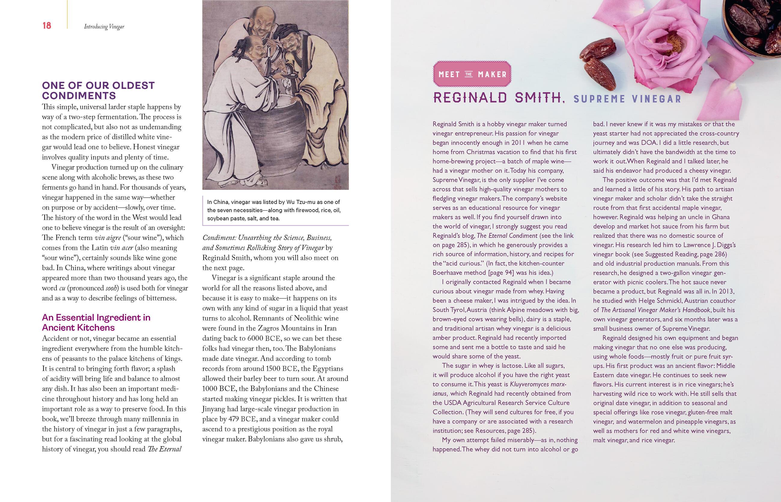 Beispielinhalt (Bild) Homebrewed Vinegar